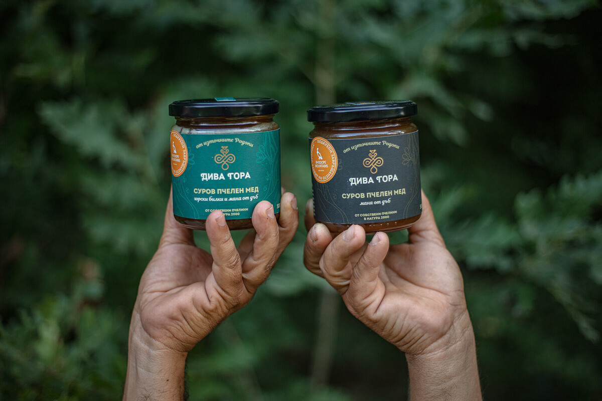 Honey producer in Rhodope Mountains