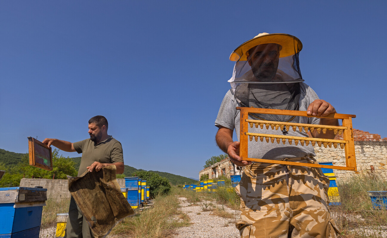 Honey producer in Rhodope Mountains