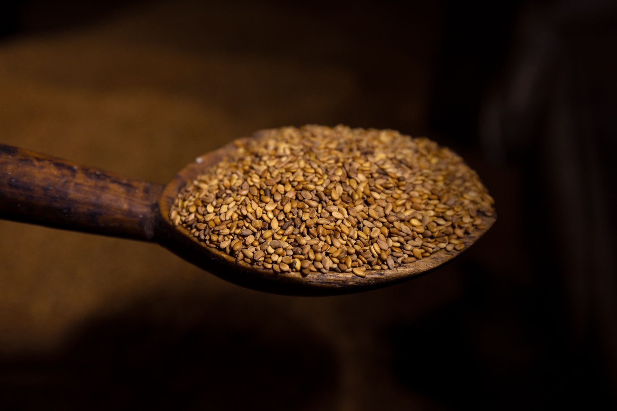Tahini producers in Rhodope Mountains rewilding landscape